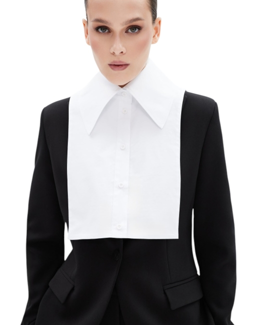 Манишка - фото 325619