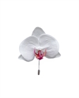 Брошь ORCHID nature - фото 248620