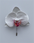 Брошь ORCHID nature - фото 306268