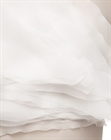 Топ Oyster shell - фото 313232
